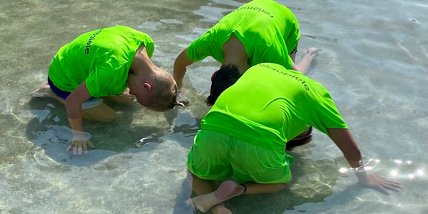 Drei Personen in neon grünen T-Shirts knien im flachen Wasser und beugen sich nach vorne.