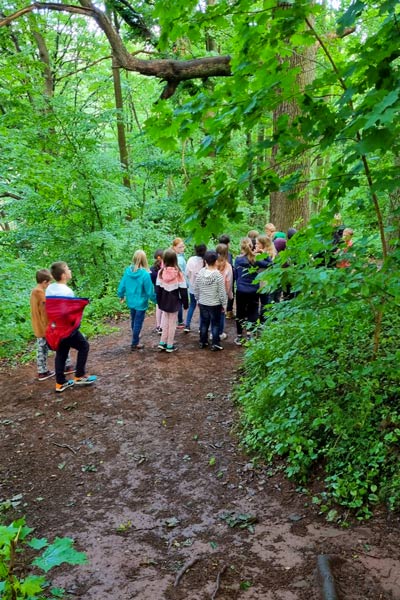 Kindergruppe bei einer Wanderung durch einen Wald.
