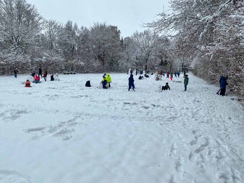 Kinder spielen im Schnee auf einer Wiese.