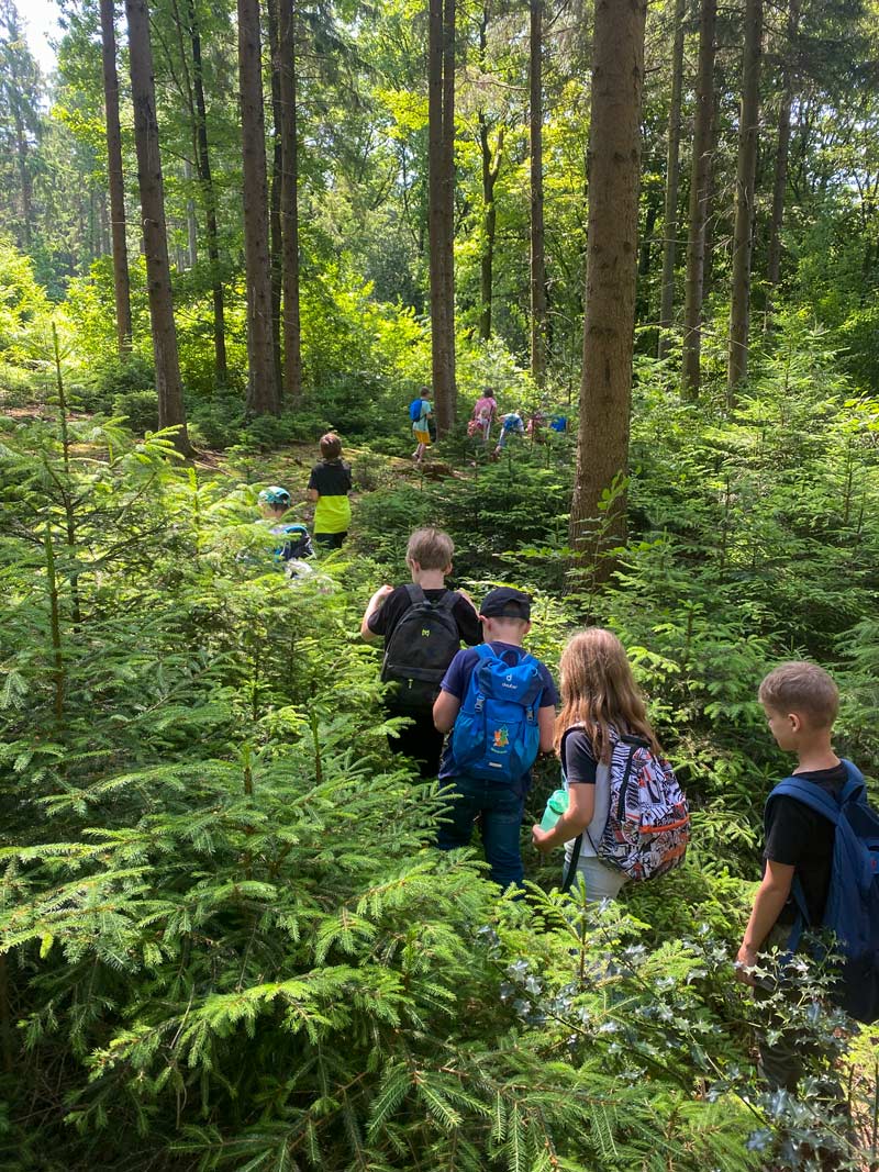 Schulkinder mit Rucksäcken wandern in einer Reihe durch den Wald.