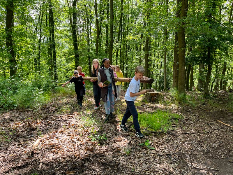 Sieben Kinder tragen einen langen Baumstamm bei Sonnenschein durch den Wald.