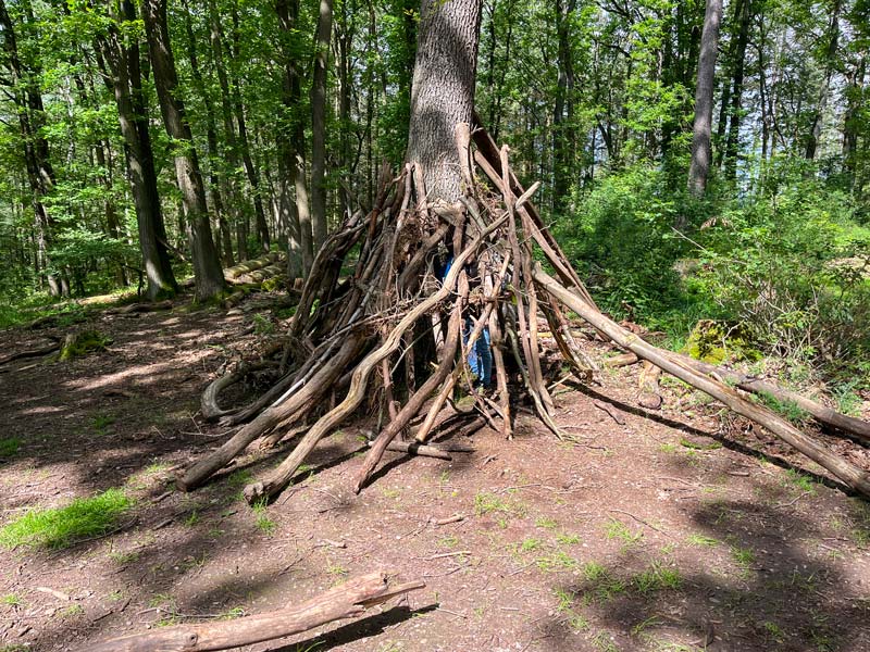 Selbstgebautes Tippi aus Ästen an einem Baum im Wald.