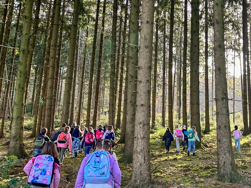 Gruppe von Kindern mit bunten Rucksäcken wandert durch einen lichten Wald mit hohen Bäumen.