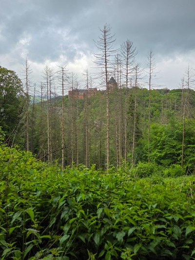 Blick durch grüne Büsche auf kahle Bäume vor bewaldetem Hügel mit Burg und bewölktem Himmel.