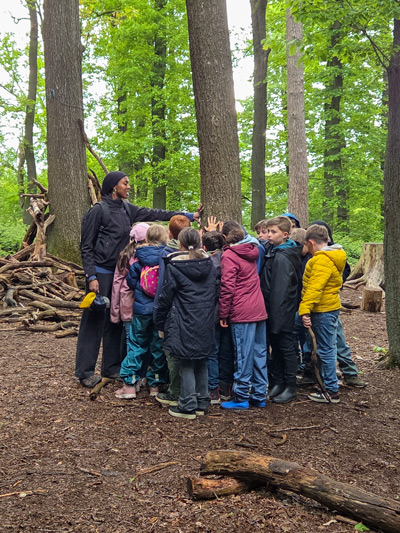 Erwachsene Person zeigt einer Gruppe von Kindern im Wald etwas an einem Baum.