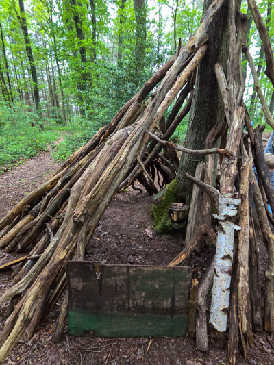 Waldhütte aus vielen schräg angelehnten Ästen und einem Baumstamm mit Pilzen im Wald.