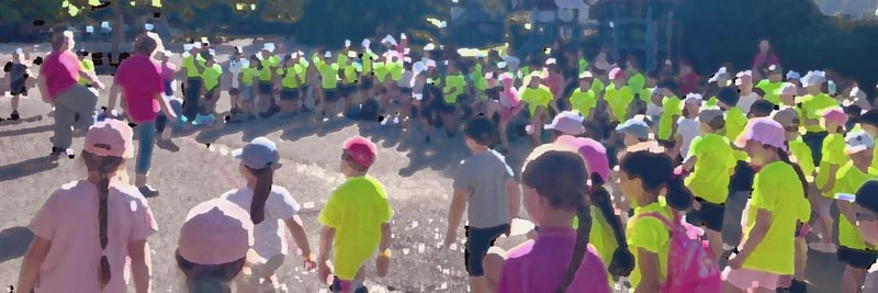 Ein sportlicher Tag bei bestem Sommerwetter